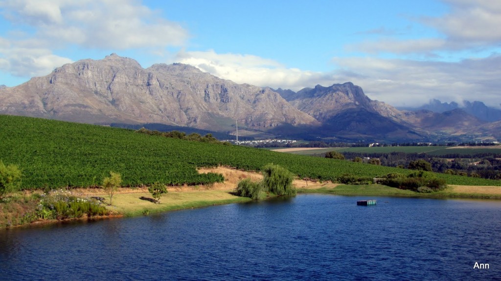 south-africa-stellenbosch-cape-winelands