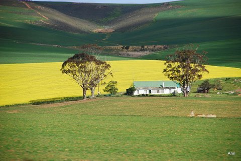 Along the Garden Route
