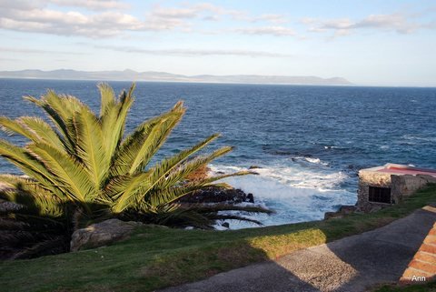 Hermanus view