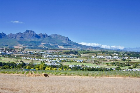 Stellenbosch | Wineries | Cape Winelands | South Africa