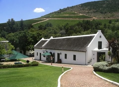 wine estate in Stellenbosch South Africa