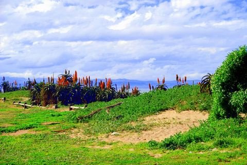 Jeffreys Bay
