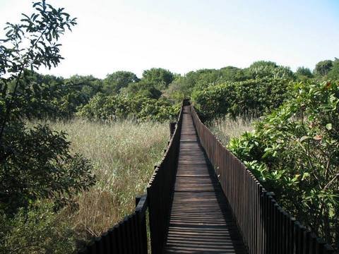 mtunzini