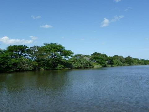 Umlalazi river