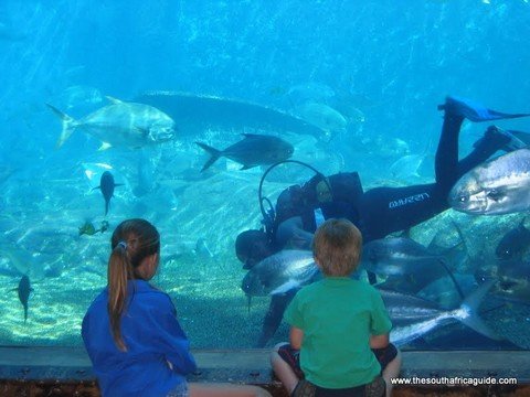 Ushaka Marine Park