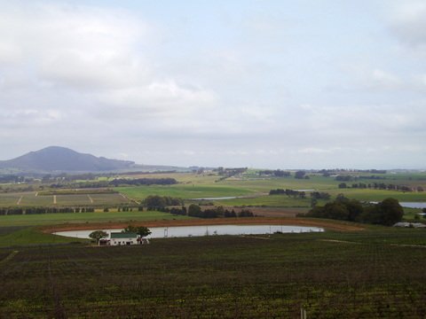 OLYMPUS DIGITAL CAMERA View of Paarl