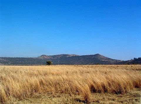 Spioenkop