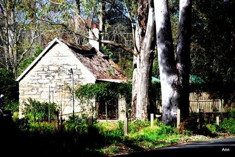 storms_river03 house in Storms River