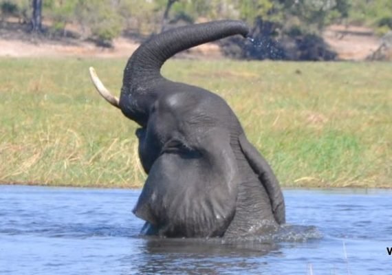 Botswana