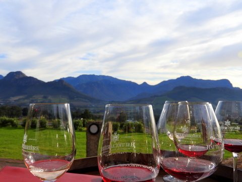 winery at Franschoek