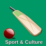 sport and culture in South Africa