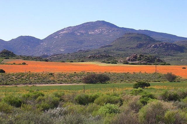 Namaqualand