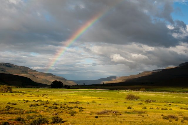 view of Namaqualand