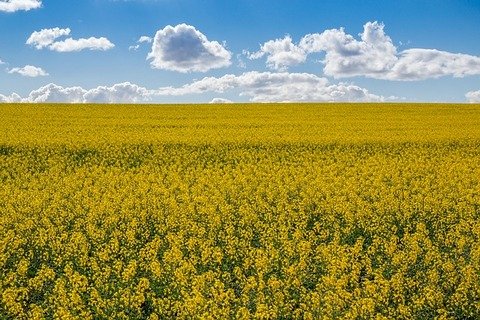Overberg region