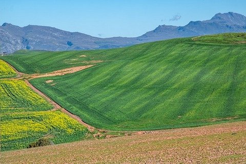 fields in Overberg region
