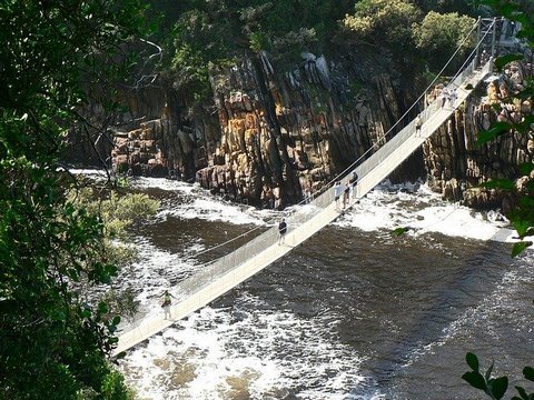 Tsitsikamma suspension bridge