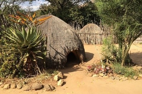 Swazi tribe huts