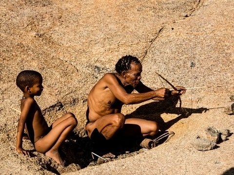 Bushman