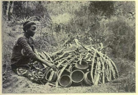 Pots